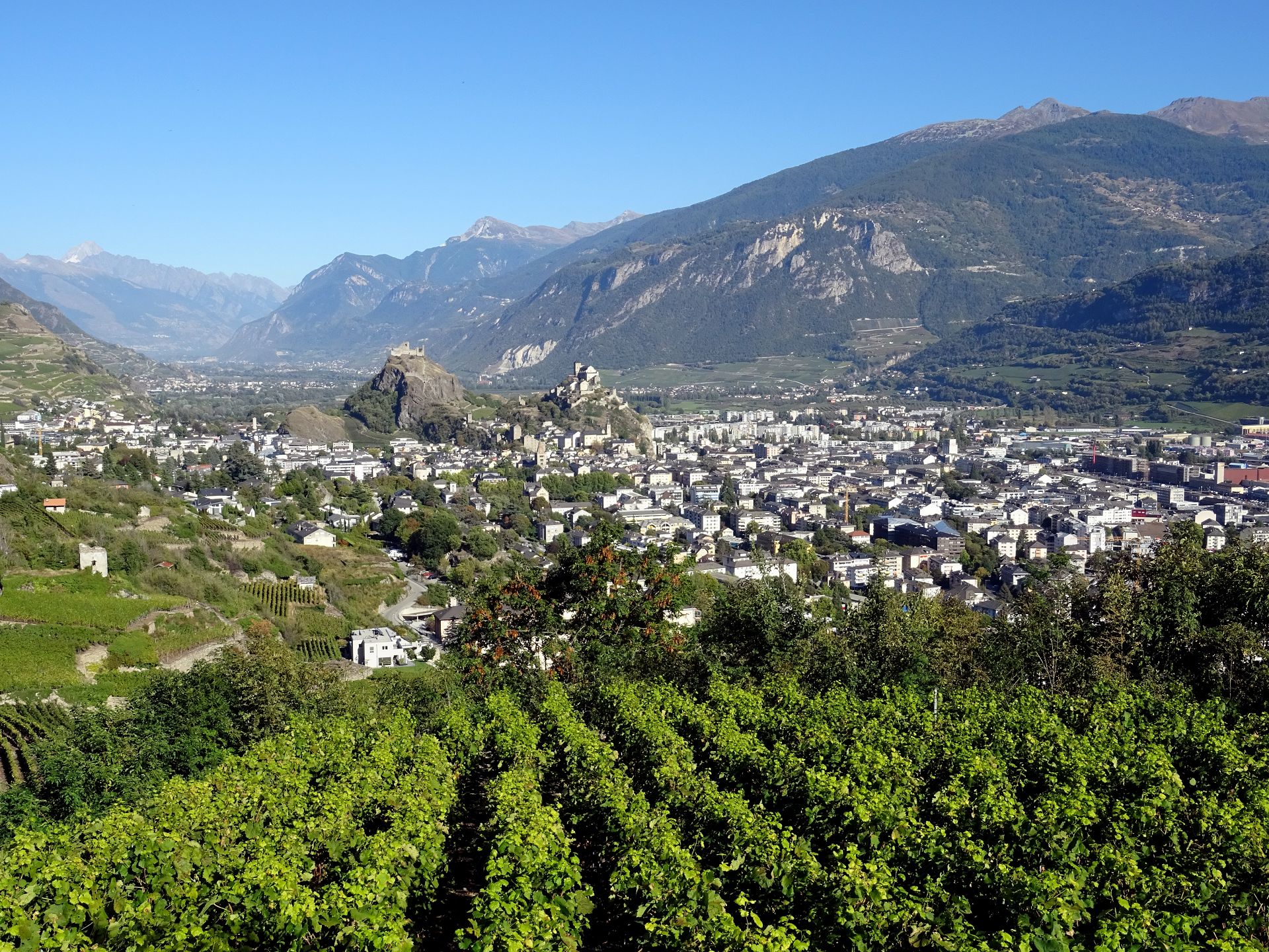 Sion